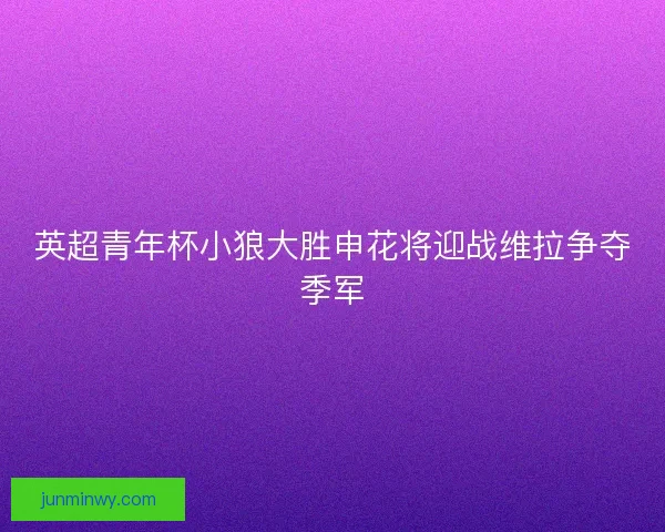 英超青年杯小狼大胜申花将迎战维拉争夺季军