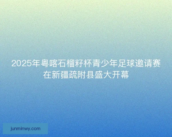 2025年粤喀石榴籽杯青少年足球邀请赛在新疆疏附县盛大开幕